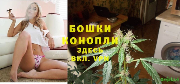 шишки Алексин