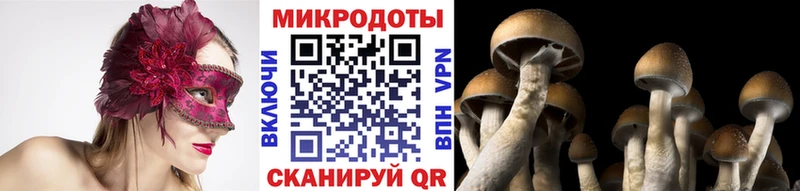 Псилоцибиновые грибы прущие грибы  Рыбное 